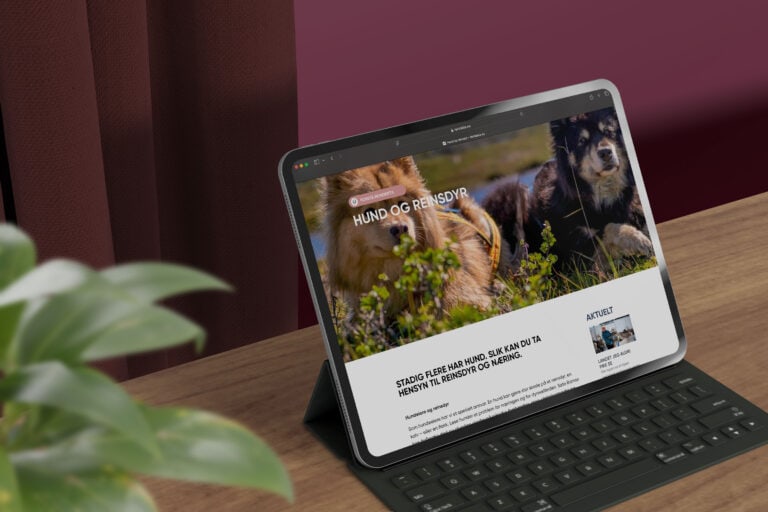 Et nettbrett med tastatur står på et trebord og viser Reinfaktas nettsted som viser en artikkel om hund og reinsdyr. Bildet på skjermen viser to hunder utendørs.